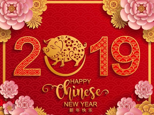 金猪送喜辞旧岁，双志陪您庆新春！